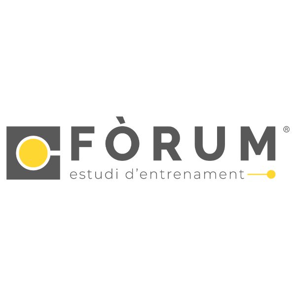 Guía de identidad visual 2 1 - Forum Estudi d'entrenament