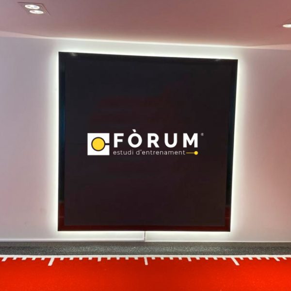 Guía de identidad visual 19 463865a1 4c56 4fcf b648 0bd00e508c67 - Forum Estudi d'entrenament