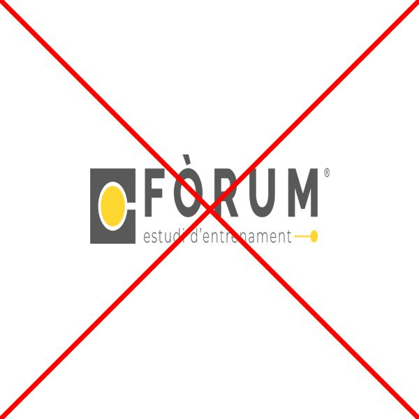 Guía de identidad visual 11 7 - Forum Estudi d'entrenament